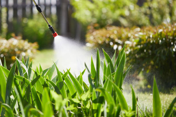 Tamper-Resistant Bait Stations for Rodents in Lake Park