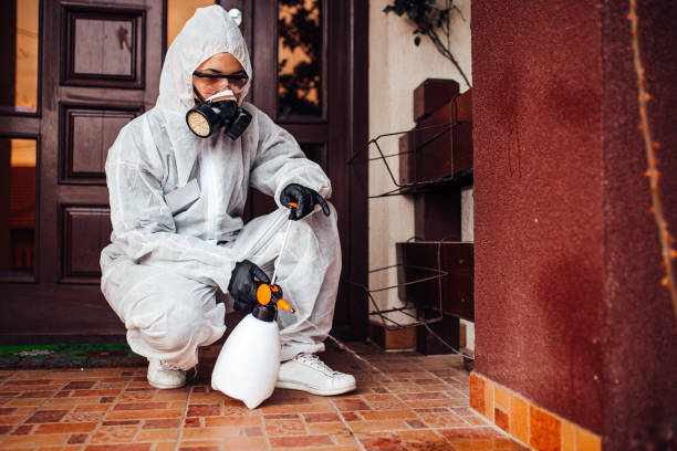 Attic and Crawl Space Rodent Treatment in Lake Park