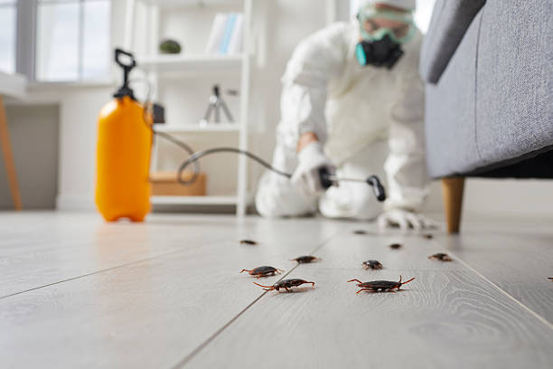 Commercial Rodent Management in Lake Park